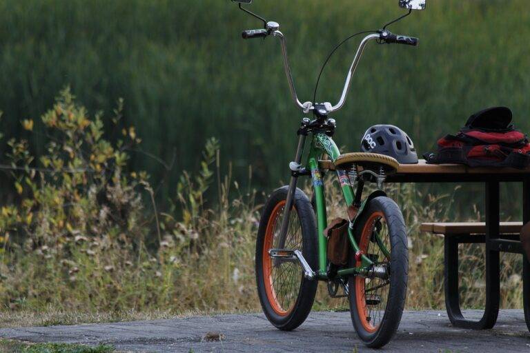 IPL’s Role in Promoting Fitness and Healthy Lifestyles Among Fans