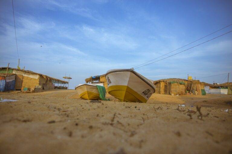 Cultural Factors in Election Campaigns