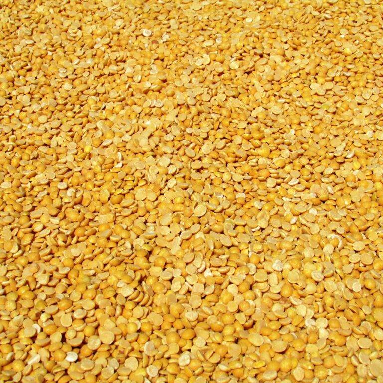 The Future of E-Voting: Pros and Cons