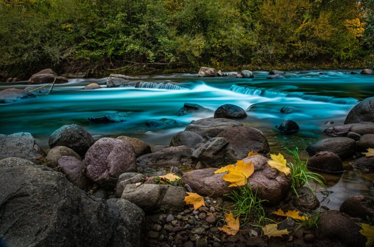 Exploring Hidden Castles and Fortresses