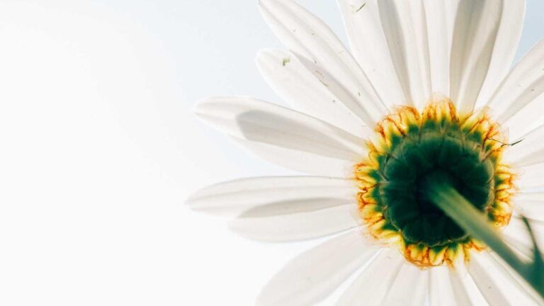 How To Secure My 11Xplay Reddy Login Id And Password From Fraud?